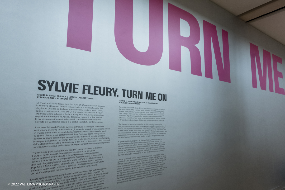 _DSF2340.jpg - 26/05/2022. Torino. Nuova mostra pensata e progettata con lâ€™artista Silvye Fleury per gli spazi di Pinacoteca, a cura di Sarah Cosulich e Lucrezia CalabrÃ² Visconti, lâ€™esposizione consiste in un percorso immersivo che attraversa i nuclei tematici fondamentali della sua ricerca. Il progetto rappresenta la piÃ¹ completa mostra in Italia dedicata a Fleury fino a oggi. Nella foto l'area di ingresso alla mostra