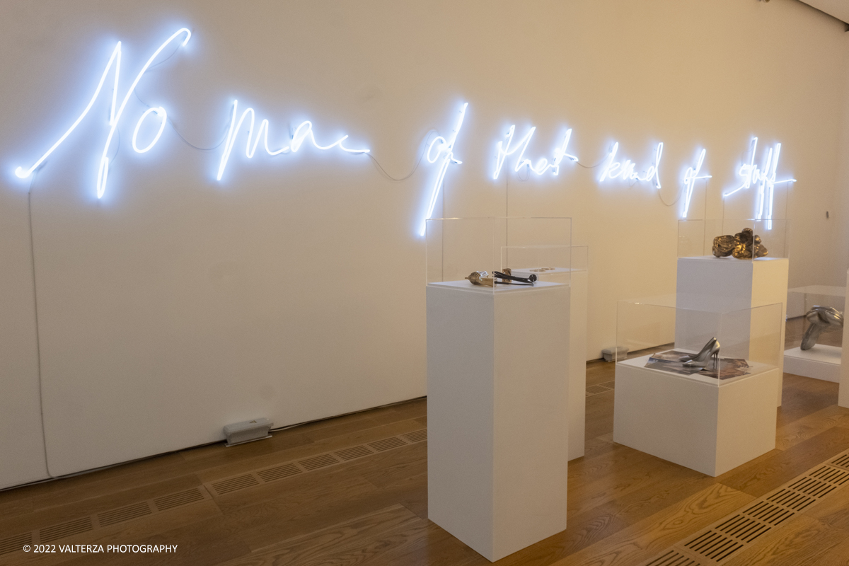 _DSF2344.jpg - 26/05/2022. Torino. Nuova mostra pensata e progettata con lâ€™artista Silvye Fleury per gli spazi di Pinacoteca, a cura di Sarah Cosulich e Lucrezia CalabrÃ² Visconti, lâ€™esposizione consiste in un percorso immersivo che attraversa i nuclei tematici fondamentali della sua ricerca. Il progetto rappresenta la piÃ¹ completa mostra in Italia dedicata a Fleury fino a oggi. Nella foto la sala Please no more that kind of stuff