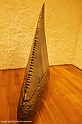 _DSF2424