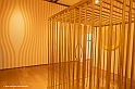 _DSF2460