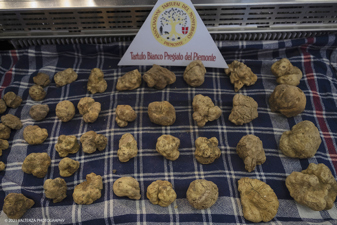 _DSF1425.jpg - 09/10/2021. Alba. Il mercato mondiale della fiera Ã¨ il punto di convergenza dell'evento dove Ã¨ possibile acquistare esemplari certificati di tartufo bianco. Nella foto esemplari di tartufo in vendita dai trifulau.