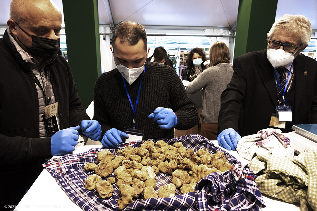 _DSF1446.jpg - 09/10/2021. Alba. Il mercato mondiale della fiera Ã¨ il punto di convergenza dell'evento dove Ã¨ possibile acquistare esemplari certificati di tartufo bianco. Nella foto giudici al lavoro per certificare i tuberi sottoposti dai trifulau