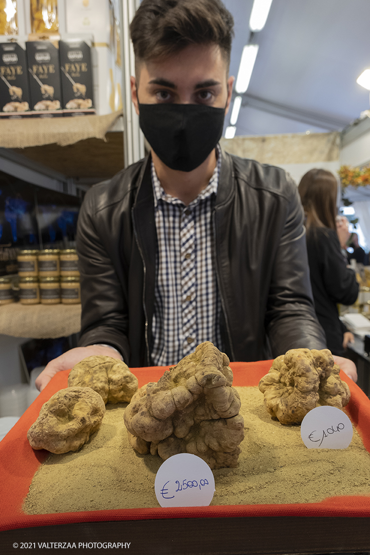 _DSF1533.jpg - 09/10/2021. Alba. Il mercato mondiale della fiera Ã¨ il punto di convergenza dell'evento dove Ã¨ possibile acquistare esemplari certificati di tartufo bianco. Nella foto esemplari di tartufo in vendita dai trifulau.