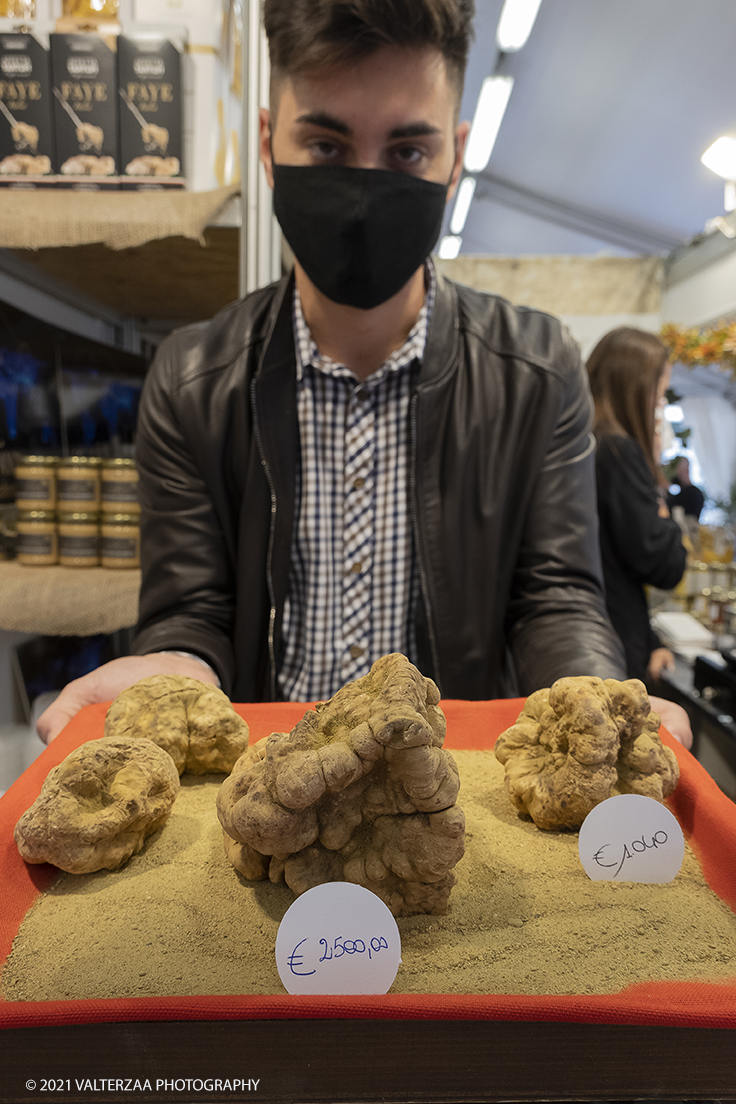 _DSF1534.jpg - 09/10/2021. Alba. Il mercato mondiale della fiera Ã¨ il punto di convergenza dell'evento dove Ã¨ possibile acquistare esemplari certificati di tartufo bianco. Nella foto esemplari di tartufo in vendita dai trifulau.