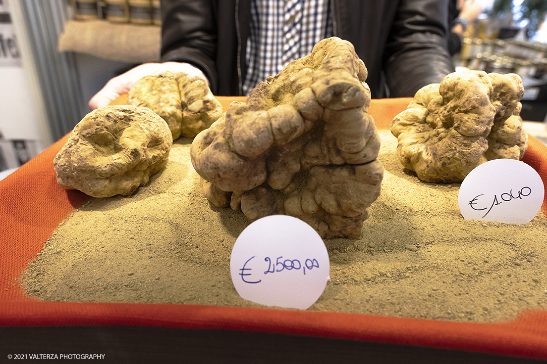 _DSF1540.jpg - 09/10/2021. Alba. Il mercato mondiale della fiera Ã¨ il punto di convergenza dell'evento dove Ã¨ possibile acquistare esemplari certificati di tartufo bianco. Nella foto esemplari di tartufo in vendita dai trifulau.