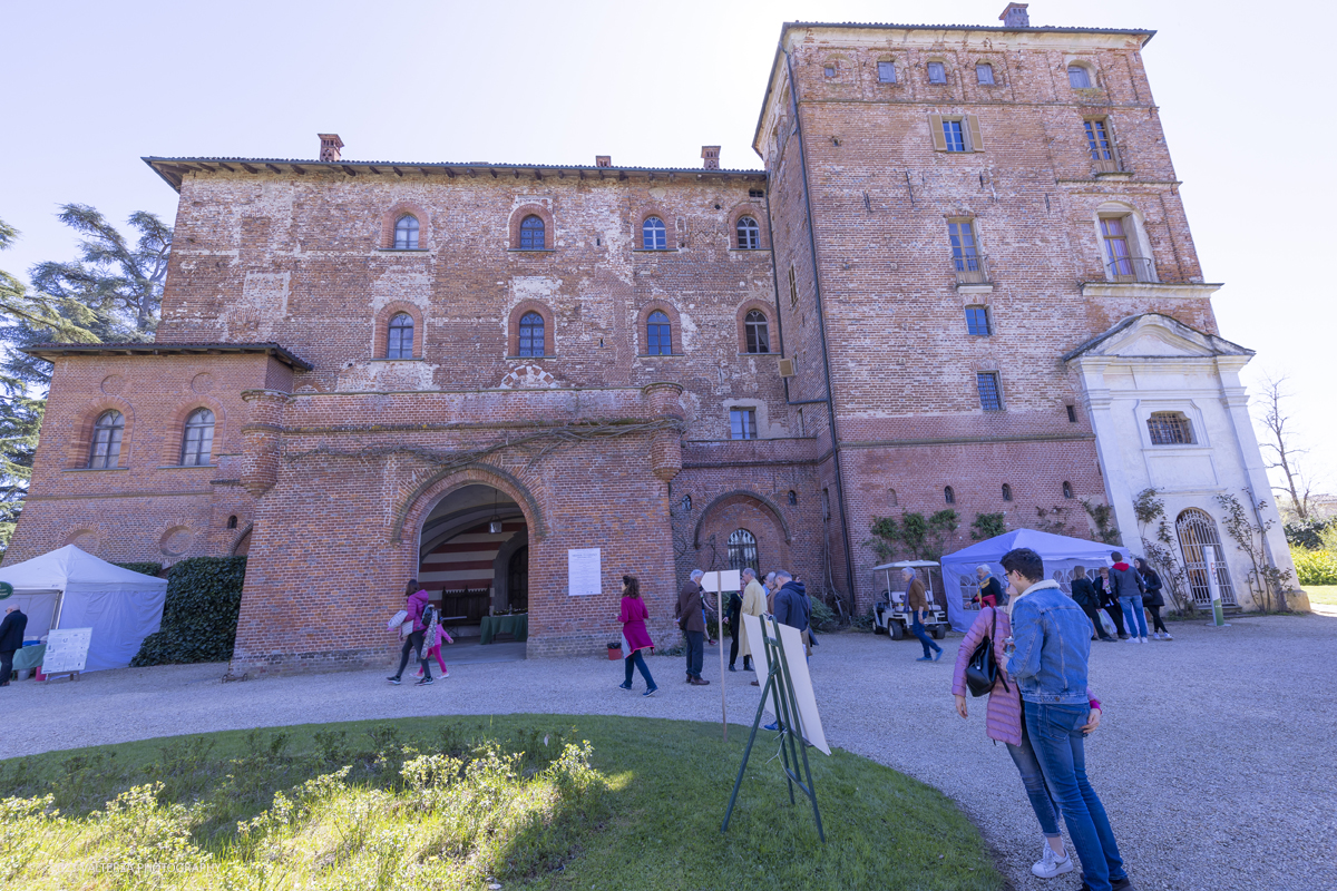_G5A2500.jpg - 01/04/2023. Torino. La riapertura del parco del castello di Pralormo annuncia ogni anno la primavera con la straordinaria fioritura di piÃ¹ di 100.000 tulipani.. Nella foto a la parte posteriore del castello