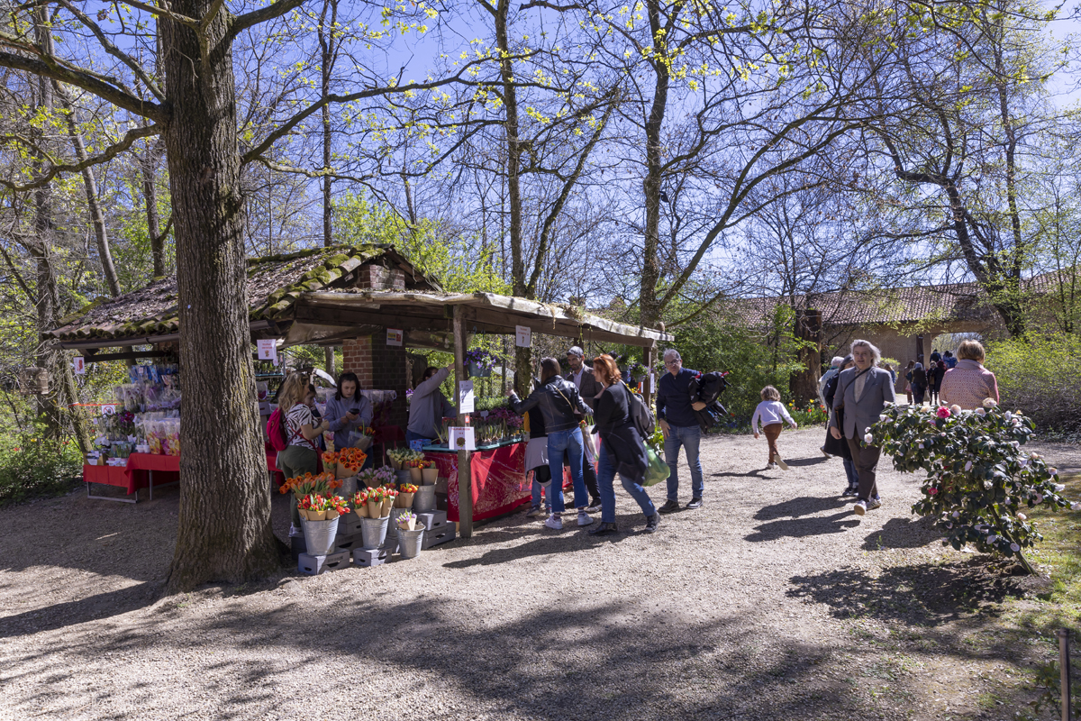 _G5A2514.jpg - 01/04/2023. Torino. La riapertura del parco del castello di Pralormo annuncia ogni anno la primavera con la straordinaria fioritura di piÃ¹ di 100.000 tulipani.. Nella foto gazebo per lo shopping floreale.