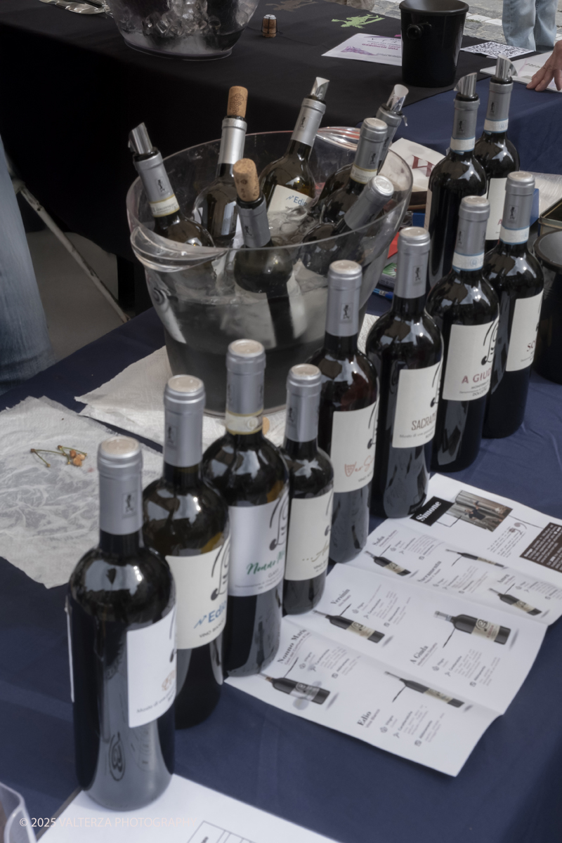DSCF0196.jpg - 24/05/2025. Moncalieri. La quarta edizione della fiera del vino.