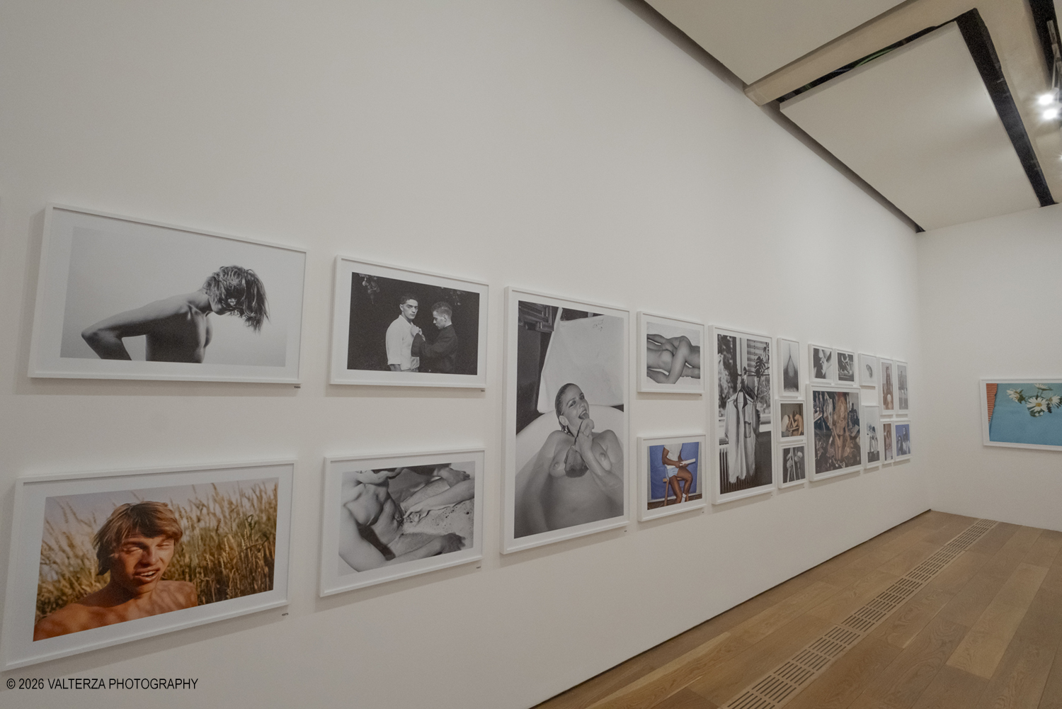 _DSF3617.jpg - 26/05/2026. Torino. EXPOSED Incontro con l'artista Walter Pfeiffer , la Pinacoteca Agnelli ospita la mostra "In Good Company", la prima esposizione istituzionale in Italia dedicata al famoso fotografo svizzero Walter Pfeiffer. Nella foto  La sala Glamour Elvetico: Questa sezione iniziale raccoglie ritratti intimi, nature morte e scene erotiche degli anni Settanta e Ottanta, dove spiccano il gioco e l'imperfezione.