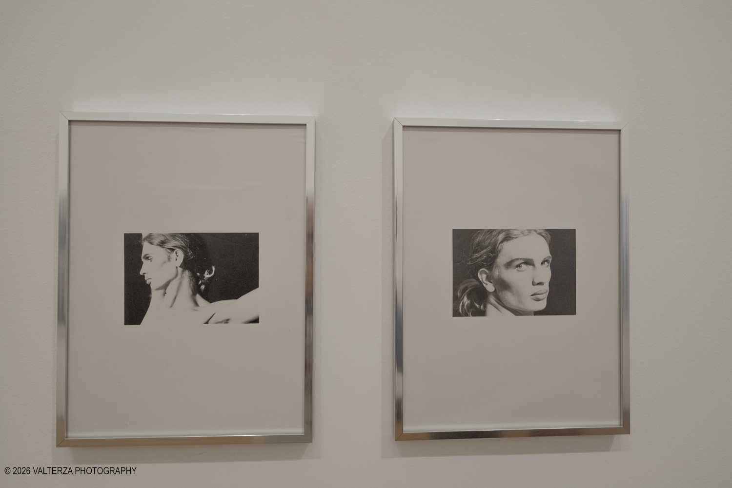 _DSF3646.jpg - 26/05/2026. Torino. EXPOSED Incontro con l'artista Walter Pfeiffer , la Pinacoteca Agnelli ospita la mostra "In Good Company", la prima esposizione istituzionale in Italia dedicata al famoso fotografo svizzero Walter Pfeiffer. Nella foto  La sala Glamour Elvetico: Questa sezione iniziale raccoglie ritratti intimi, nature morte e scene erotiche degli anni Settanta e Ottanta, dove spiccano il gioco e l'imperfezione.