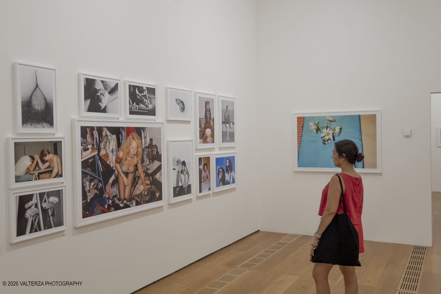 _DSF3648.jpg - 26/05/2026. Torino. EXPOSED Incontro con l'artista Walter Pfeiffer , la Pinacoteca Agnelli ospita la mostra "In Good Company", la prima esposizione istituzionale in Italia dedicata al famoso fotografo svizzero Walter Pfeiffer. Nella foto  La sala Glamour Elvetico: Questa sezione iniziale raccoglie ritratti intimi, nature morte e scene erotiche degli anni Settanta e Ottanta, dove spiccano il gioco e l'imperfezione.