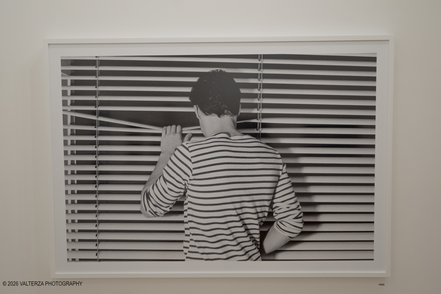 _DSF3669.jpg - 26/05/2026. Torino. EXPOSED Incontro con l'artista Walter Pfeiffer , la Pinacoteca Agnelli ospita la mostra "In Good Company", la prima esposizione istituzionale in Italia dedicata al famoso fotografo svizzero Walter Pfeiffer. Nella foto  immagini della sezione "Tra le righe"