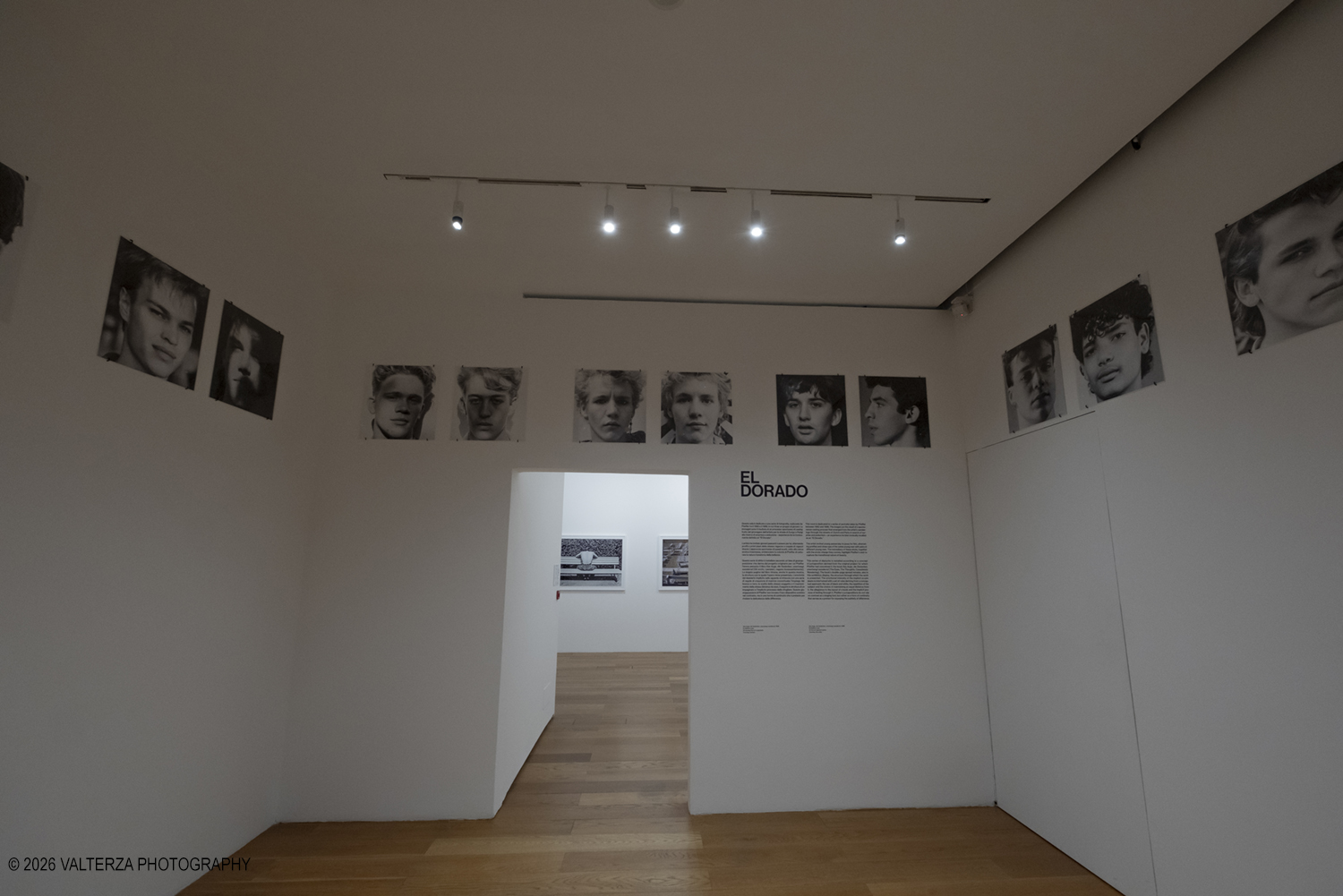 _DSF3675.jpg - 26/05/2026. Torino. EXPOSED Incontro con l'artista Walter Pfeiffer , la Pinacoteca Agnelli ospita la mostra "In Good Company", la prima esposizione istituzionale in Italia dedicata al famoso fotografo svizzero Walter Pfeiffer. Nella foto  sala dedicata ad una serie di fotografie in cui Pfeiffer ritrae ub gruppo di giovani (1980/1986)