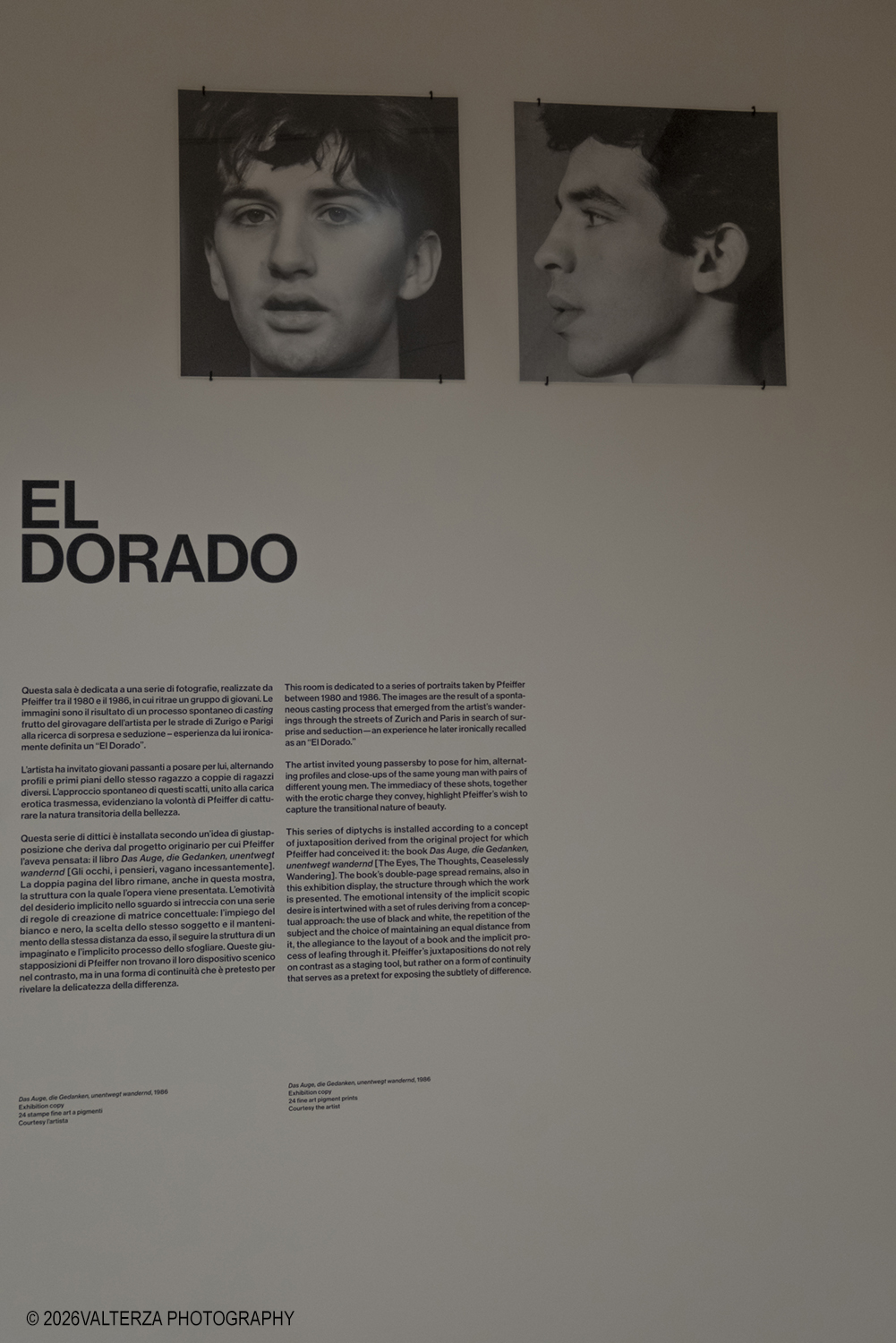 _DSF3676.jpg - 26/05/2026. Torino. EXPOSED Incontro con l'artista Walter Pfeiffer , la Pinacoteca Agnelli ospita la mostra "In Good Company", la prima esposizione istituzionale in Italia dedicata al famoso fotografo svizzero Walter Pfeiffer. Nella foto  sala dedicata ad una serie di fotografie in cui Pfeiffer ritrae ub gruppo di giovani (1980/1986)