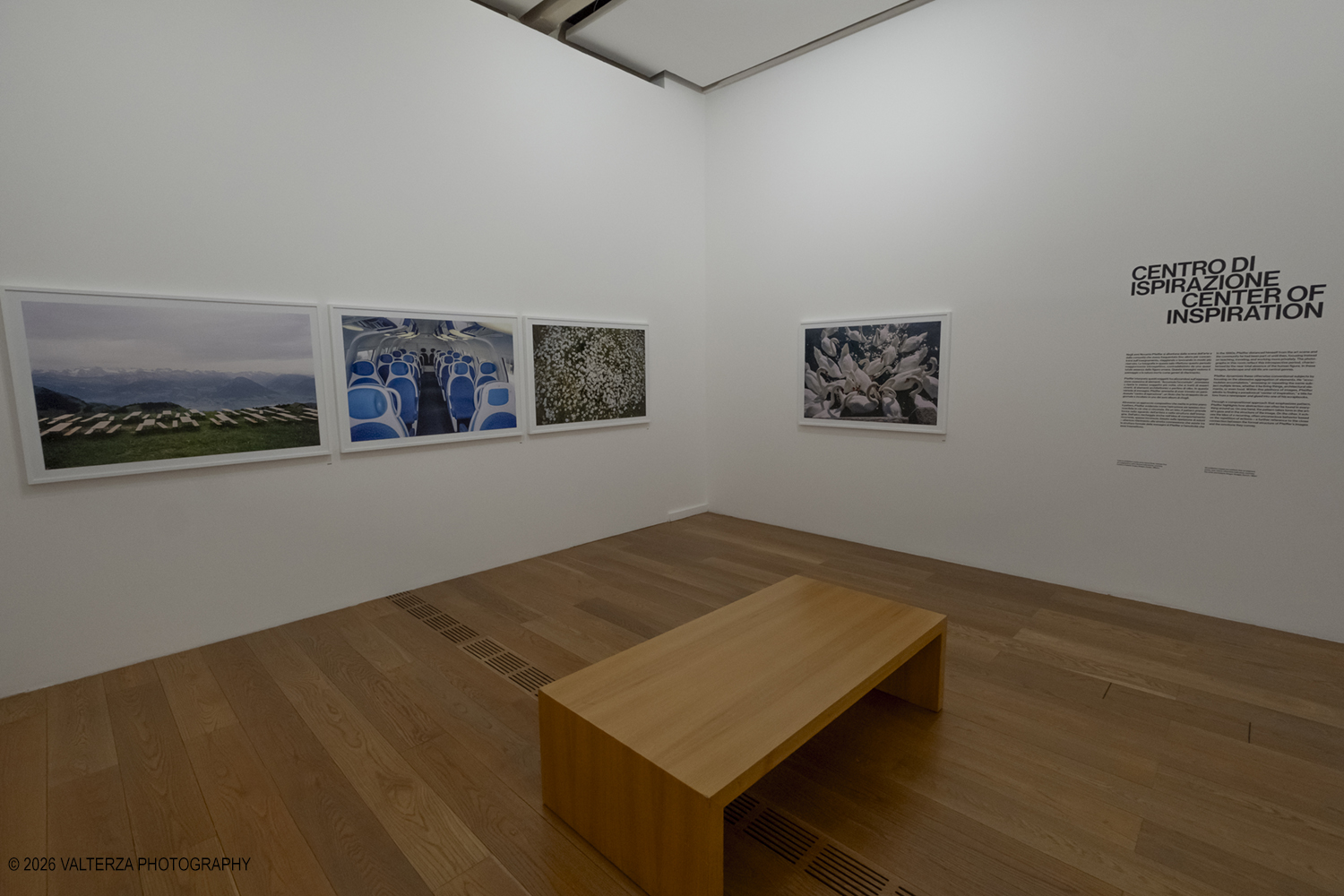_DSF3700.jpg - 26/05/2026. Torino. EXPOSED Incontro con l'artista Walter Pfeiffer , la Pinacoteca Agnelli ospita la mostra "In Good Company", la prima esposizione istituzionale in Italia dedicata al famoso fotografo svizzero Walter Pfeiffer. Nella foto La "Sala centro di ispirazione" della mostra esplora le radici creative dell'artista, evidenziando come la sua estetica dell'imperfezione e del quotidiano abbia influenzato la fotografia e la moda contemporanea