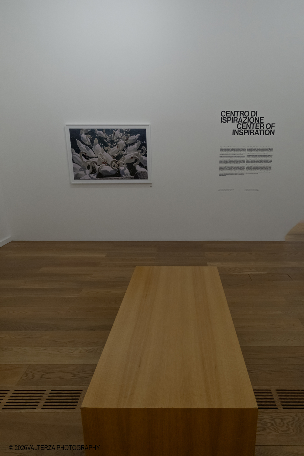 _DSF3702.jpg - 26/05/2026. Torino. EXPOSED Incontro con l'artista Walter Pfeiffer , la Pinacoteca Agnelli ospita la mostra "In Good Company", la prima esposizione istituzionale in Italia dedicata al famoso fotografo svizzero Walter Pfeiffer. Nella foto La "Sala centro di ispirazione" della mostra esplora le radici creative dell'artista, evidenziando come la sua estetica dell'imperfezione e del quotidiano abbia influenzato la fotografia e la moda contemporanea