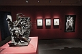 DSCF0161