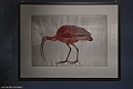 DSCF0229