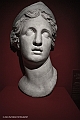 DSCF0263