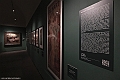 DSCF0537