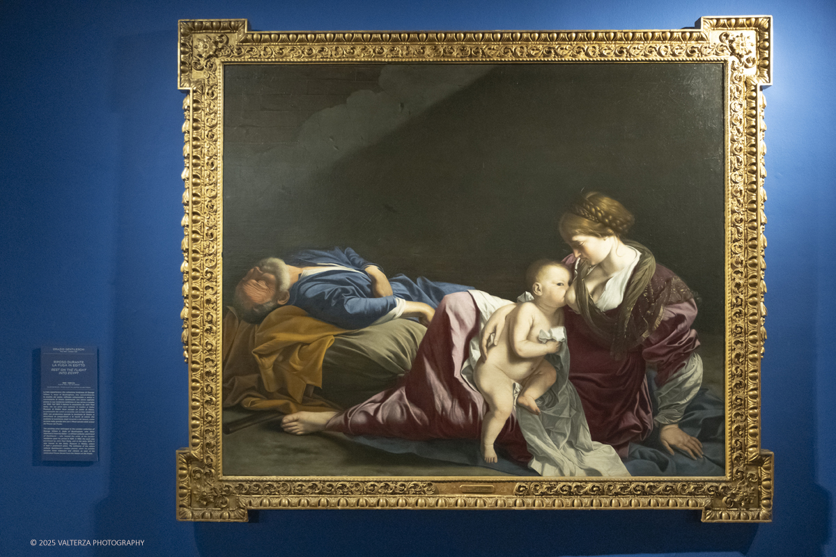 _DSF0402.jpg - 22/11720'25. Torino. Dal 22 novembre 2025 al 3 maggio 2026, le Sale Chiablese dei Musei Reali di Torino ospitano una mostra dedicata a Orazio Gentileschi (Pisa, 1563 â€“ Londra, 1639), uno dei piÃ¹ importanti artisti italiani del Seicento, la cui straordinaria qualitÃ  pittorica fu premiata da un successo in vita pari a quello di Caravaggio, Rubens e Van Dyck. Nella foto Orazio Gentileschi Il riposo durante la fuga in Egitto, 1625-1628
