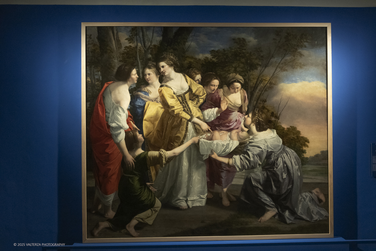 _DSF0420.jpg - 22/11720'25. Torino. Dal 22 novembre 2025 al 3 maggio 2026, le Sale Chiablese dei Musei Reali di Torino ospitano una mostra dedicata a Orazio Gentileschi (Pisa, 1563 â€“ Londra, 1639), uno dei piÃ¹ importanti artisti italiani del Seicento, la cui straordinaria qualitÃ  pittorica fu premiata da un successo in vita pari a quello di Caravaggio, Rubens e Van Dyck. Nella foto Orazio Gentileschi MosÃ¨ salvato dalle acque
