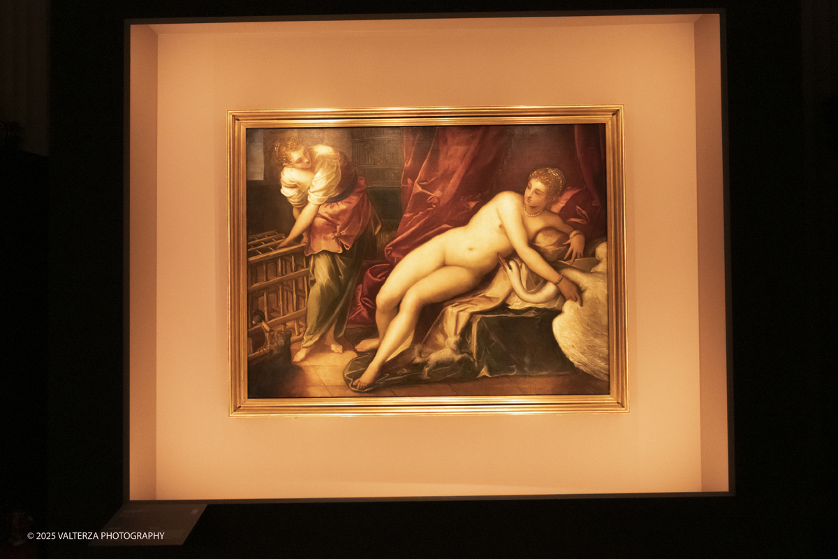 _DSF9817.jpg - 17/09/2025. Torino. Tintoretto è stato fondativo per la formazione artistica di Vedova e la mostra sottolinea l'impeto e la forza dell'articolato rapporto che lega i due artisti. Nella foto Jacomo Robusti, detto/ Tintoretto, Leda e il Cigno, 1550-1560 circa