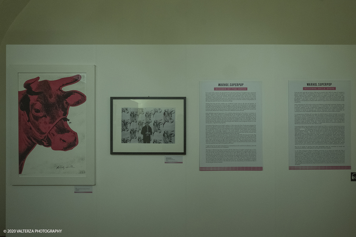 _DSF8773.jpg - 23/10/2020.Torino. Per la prima volta a Torino, unâ€™esposizione unica che raccoglie oltre settanta opere ufficiali: fotografie, serigrafie, litografie, stampe, acetati, ricostruzioni fedeli degli ambienti e dei prodotti che Warhol amava e da cui traeva ispirazione. Nella foto la celebre "Cow" di Andy Warhol con una foto sua in mezzo a riproduzioni multiple dell'opera.