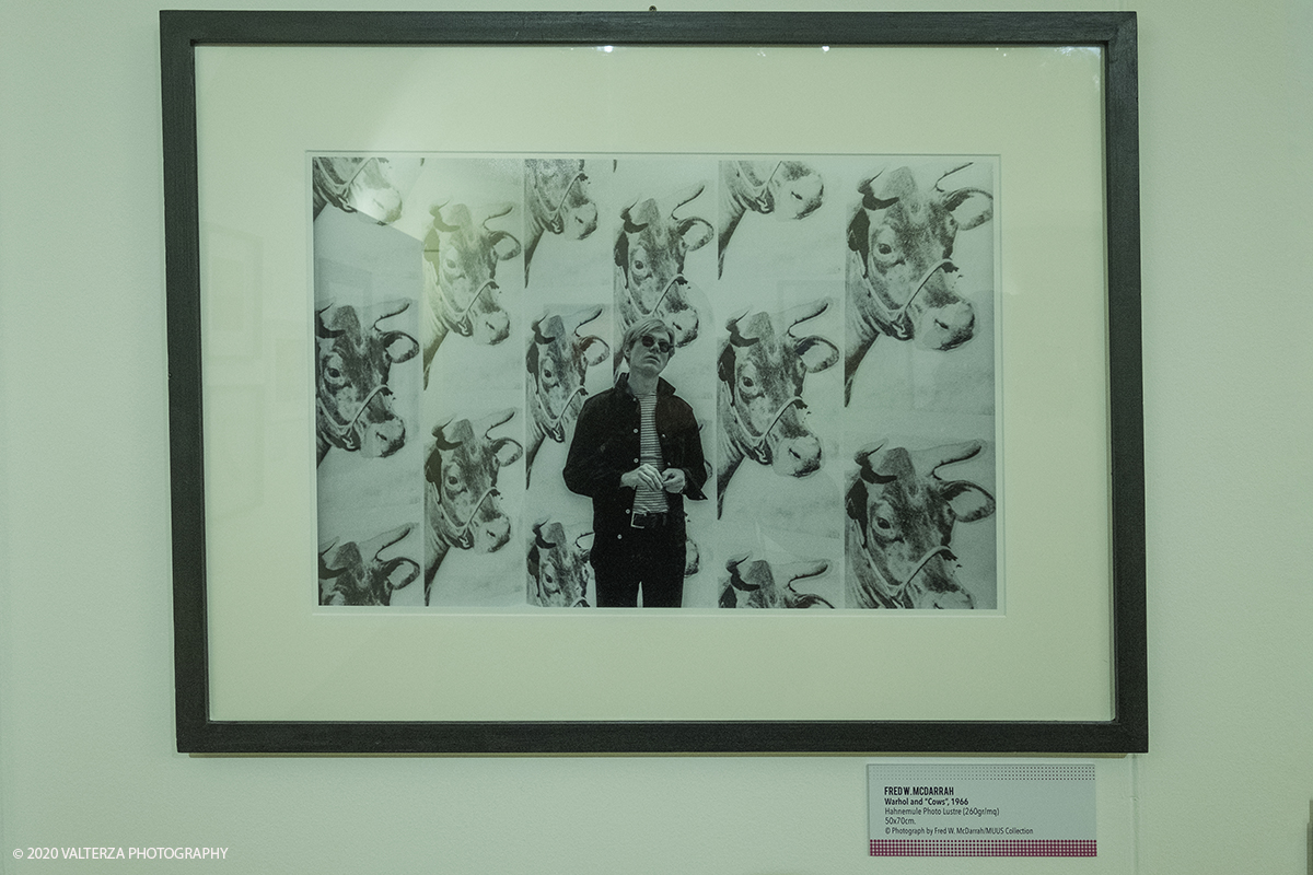 _DSF8925.jpg - 23/10/2020.Torino. Per la prima volta a Torino, unâ€™esposizione unica che raccoglie oltre settanta opere ufficiali: fotografie, serigrafie, litografie, stampe, acetati, ricostruzioni fedeli degli ambienti e dei prodotti che Warhol amava e da cui traeva ispirazione. Nella foto immagine Warhol and Cows, 1966