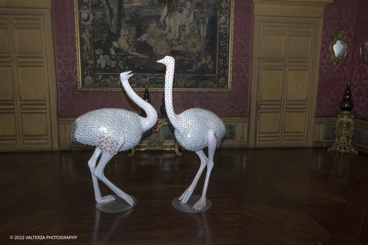 _DSF9649.jpg - 05/05/2022. Torino. La mostra Ã¨ la proposta con cui i Musei Reali intendono creare un percorso di visita innovativo nel quale le tecniche e i linguaggi dellâ€™arte contemporanea dialoghino con la cornice dellâ€™antica residenza. Nella foto opera di Nicola Bolla, Struzzi 2003