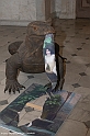 _DSF9627