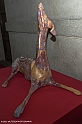 _DSF9661