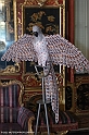 _DSF9669