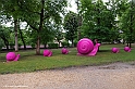 _DSF9800