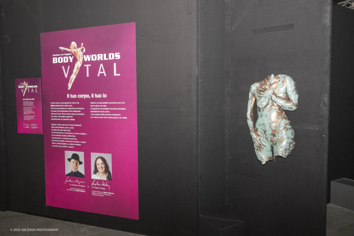 _DSF5195.jpg - 15/09/20223. Torino. La Sala degli Stemmi della Stazione di Torino Porta Nuova ospita, dal 15 settembre 2023 al 14 gennaio 2024, la nuova mostra originale â€œBody Worlds Vitalâ€�. Nella foto l'area di ingresso alla mostra