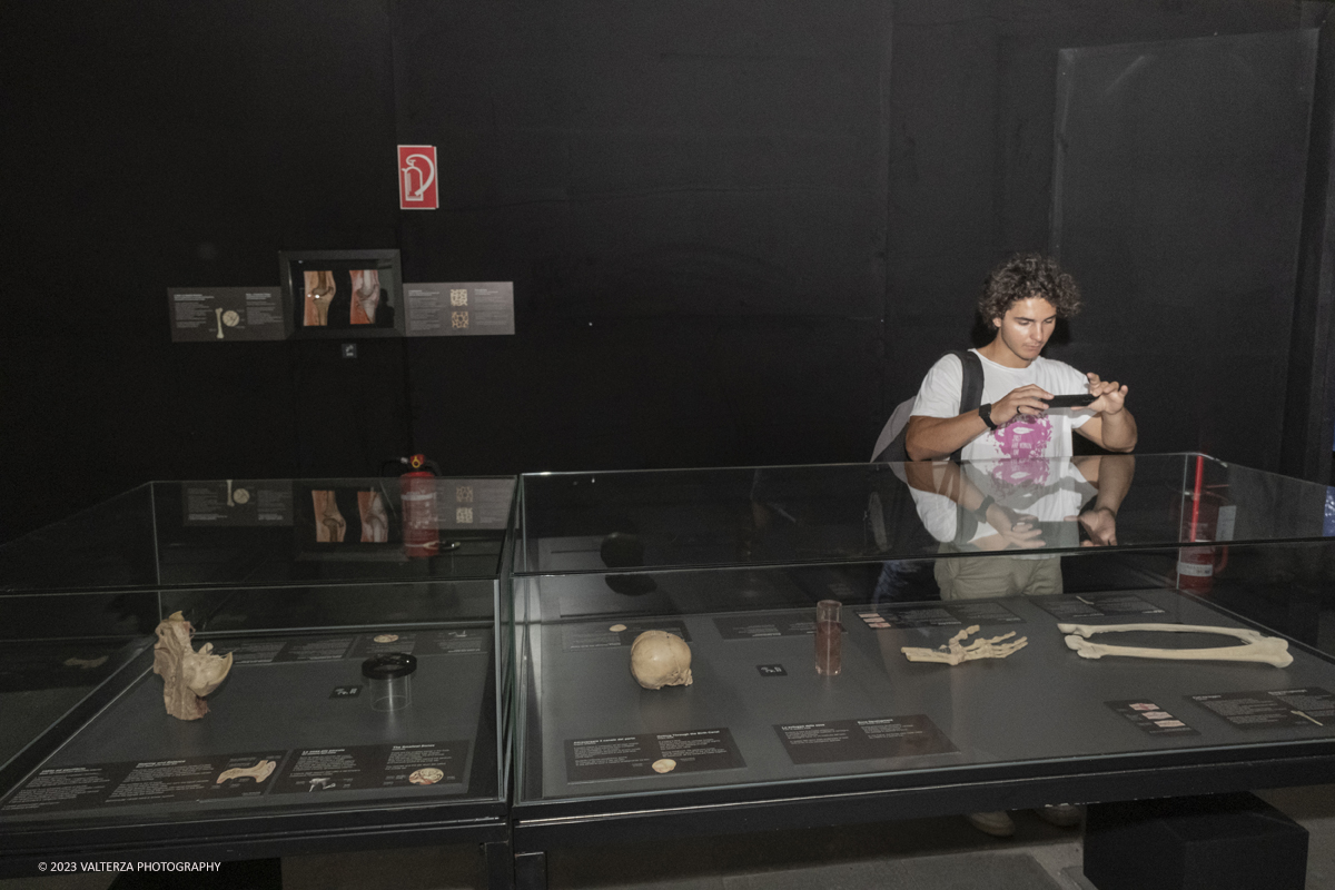 _DSF5205.jpg - 15/09/20223. Torino. La Sala degli Stemmi della Stazione di Torino Porta Nuova ospita, dal 15 settembre 2023 al 14 gennaio 2024, la nuova mostra originale â€œBody Worlds Vitalâ€�. Nella foto in visita alla mostra