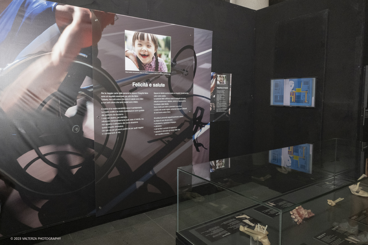 _DSF5211.jpg - 15/09/20223. Torino. La Sala degli Stemmi della Stazione di Torino Porta Nuova ospita, dal 15 settembre 2023 al 14 gennaio 2024, la nuova mostra originale â€œBody Worlds Vitalâ€�. Nella foto parte dell'area della mostra