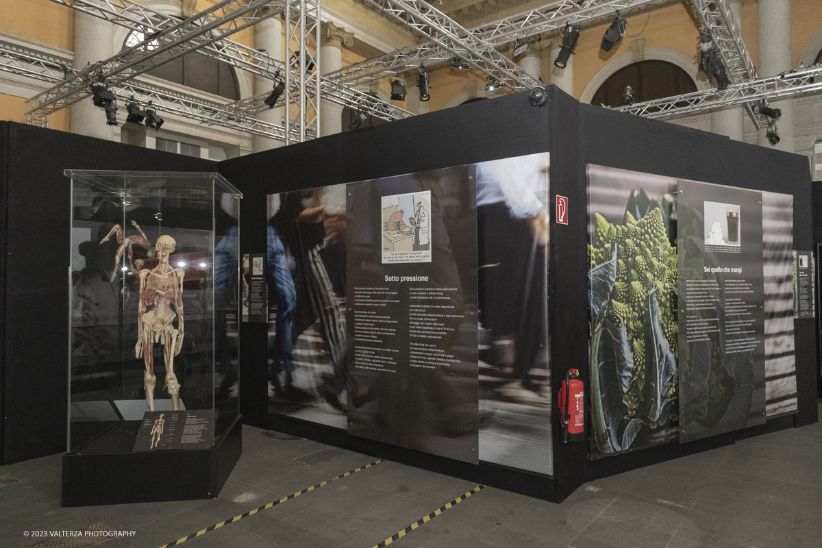 _DSF5253.jpg - 15/09/20223. Torino. La Sala degli Stemmi della Stazione di Torino Porta Nuova ospita, dal 15 settembre 2023 al 14 gennaio 2024, la nuova mostra originale â€œBody Worlds Vitalâ€�. Nella foto parte dell'area della mostra