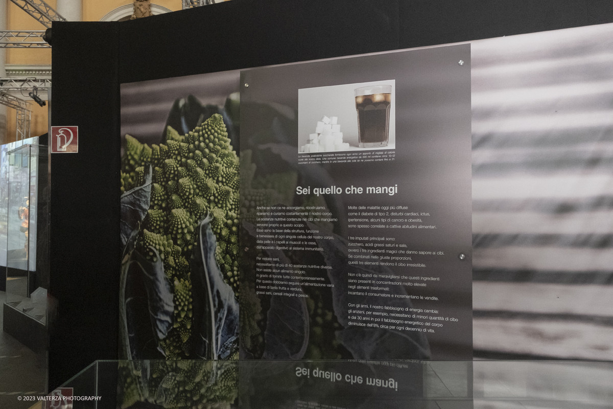 _DSF5256.jpg - 15/09/20223. Torino. La Sala degli Stemmi della Stazione di Torino Porta Nuova ospita, dal 15 settembre 2023 al 14 gennaio 2024, la nuova mostra originale â€œBody Worlds Vitalâ€�. Nella foto parte dell'area della mostra