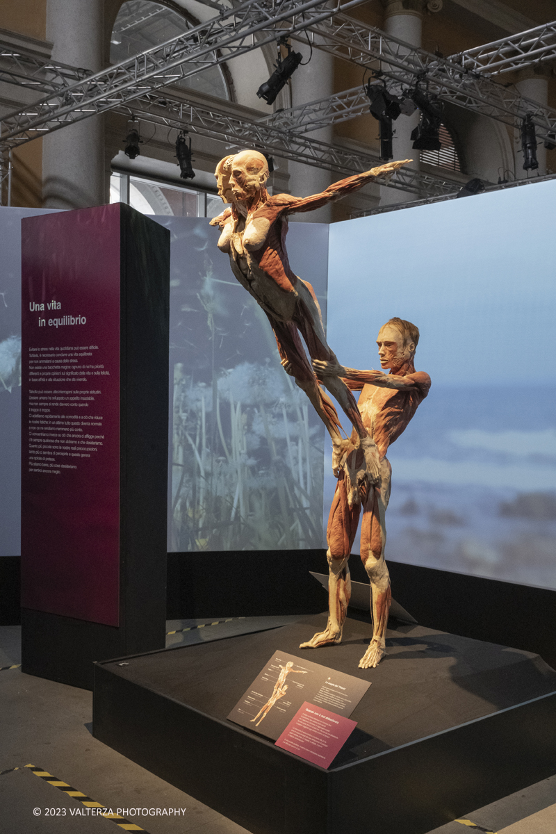 _DSF5284.jpg - 15/09/20223. Torino. La Sala degli Stemmi della Stazione di Torino Porta Nuova ospita, dal 15 settembre 2023 al 14 gennaio 2024, la nuova mostra originale â€œBody Worlds Vitalâ€�. Nella foto sezione dedicata all'importanza di una vita equilibrata