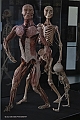 _DSF5347
