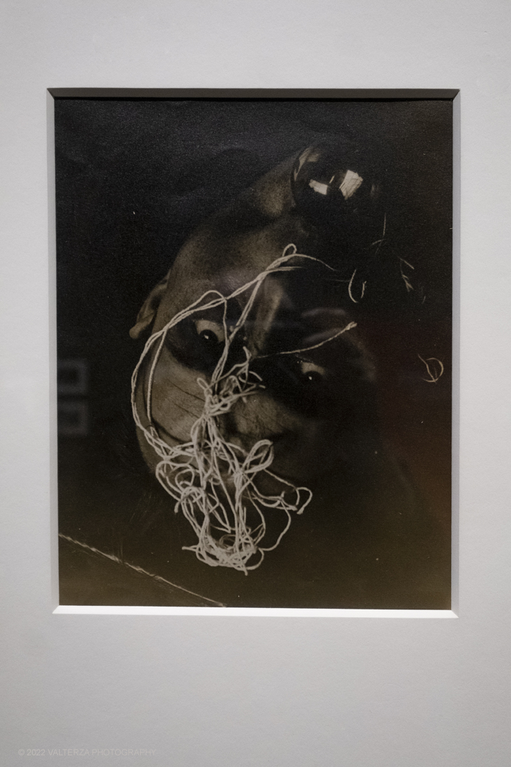 _DSF5336.jpg - 02/03/2022. Torino. La collezione Thomas Walther del Museum of Modern Art , New York. Nella foto John Gutman Autoritratto Protoplasmatico 1937
