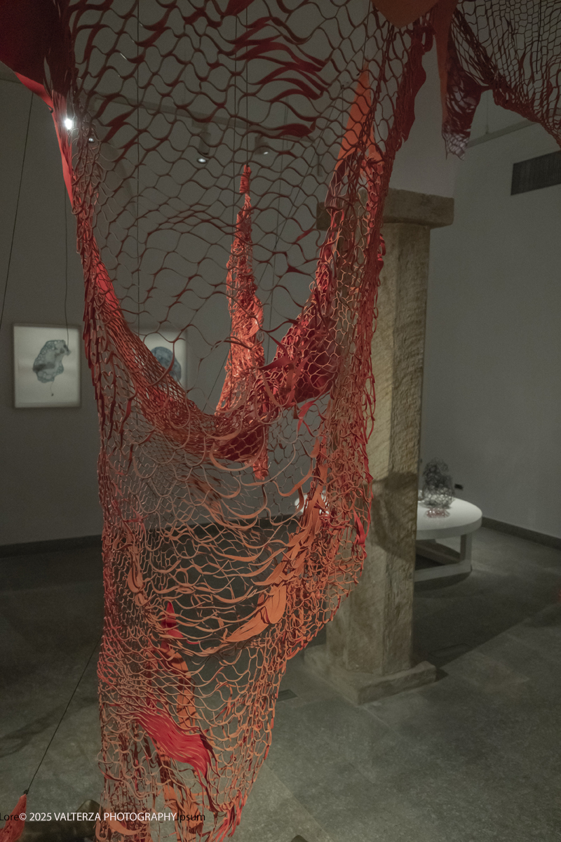 DSCF0020.jpg - 21/1072025. The Soul Trembles, la grande mostra monografica dedicata all’artista giapponese Chiharu Shiota arriva al MAO in anteprima nazionale - e per la prima volta in assoluto in un museo di arte asiatica. Nella foto opera Fuoti dal mio corpo 2019