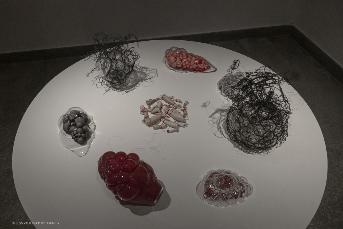 DSCF0052.jpg - 21/1072025. The Soul Trembles, la grande mostra monografica dedicata all’artista giapponese Chiharu Shiota arriva al MAO in anteprima nazionale - e per la prima volta in assoluto in un museo di arte asiatica. Nella foto opera rnascita e passaggio  2019