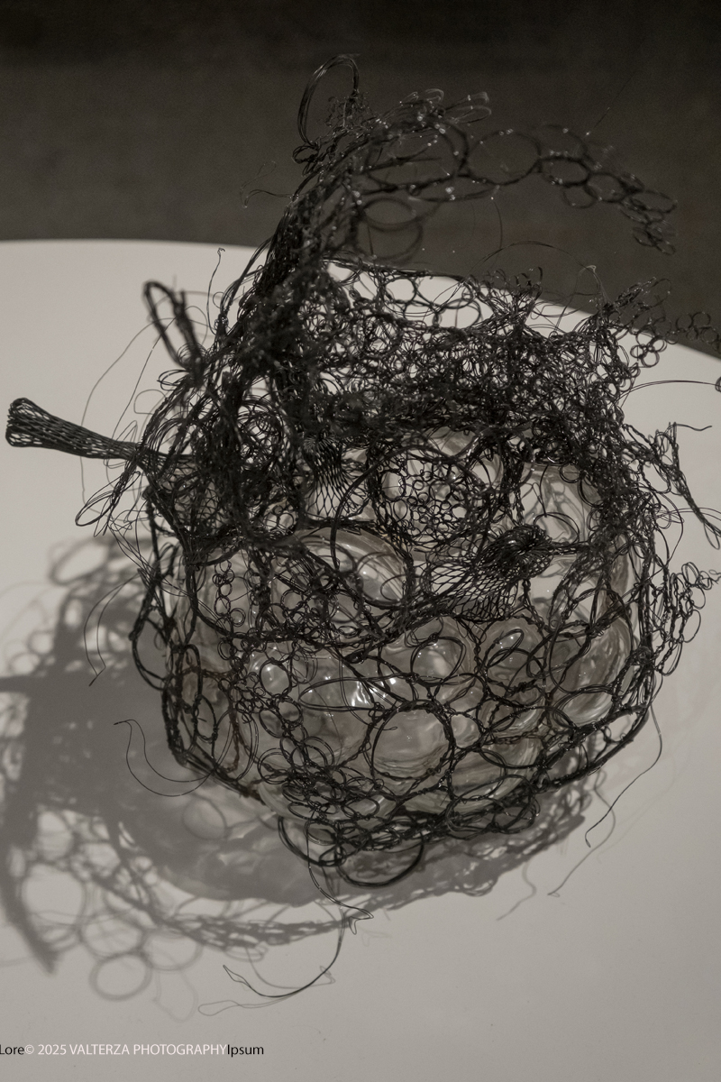 DSCF0077.jpg - 21/1072025. The Soul Trembles, la grande mostra monografica dedicata all’artista giapponese Chiharu Shiota arriva al MAO in anteprima nazionale - e per la prima volta in assoluto in un museo di arte asiatica. Nella foto opera rnascita e passaggio  2019