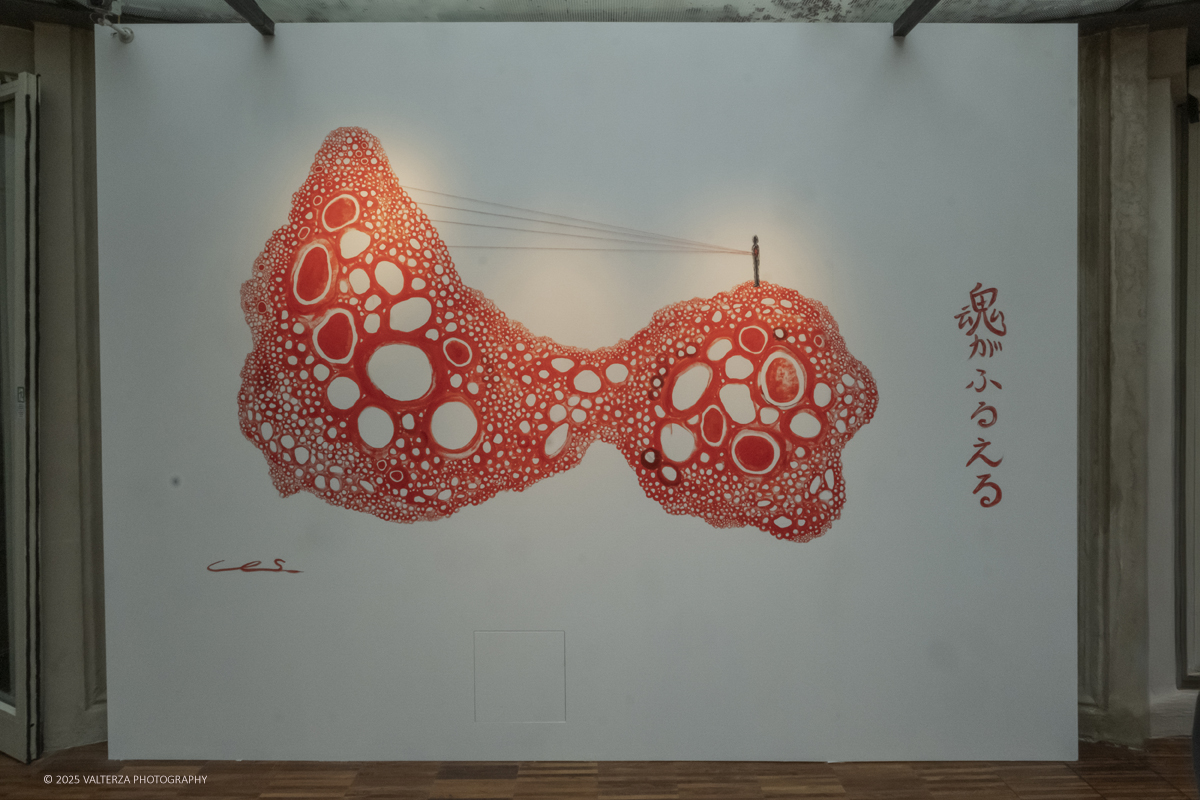 _DSF3548.jpg - 21/1072025. The Soul Trembles, la grande mostra monografica dedicata all’artista giapponese Chiharu Shiota arriva al MAO in anteprima nazionale - e per la prima volta in assoluto in un museo di arte asiatica. Nella foto l'ngresso alla mostra