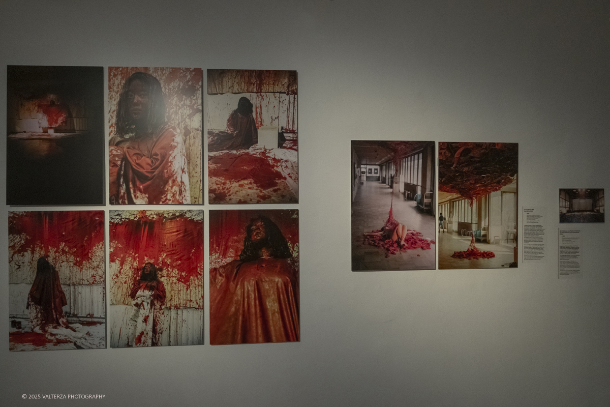 _DSF3695.jpg - 21/1072025. The Soul Trembles, la grande mostra monografica dedicata all’artista giapponese Chiharu Shiota arriva al MAO in anteprima nazionale - e per la prima volta in assoluto in un museo di arte asiatica. Nella foto opera da DNA a DNA 1994