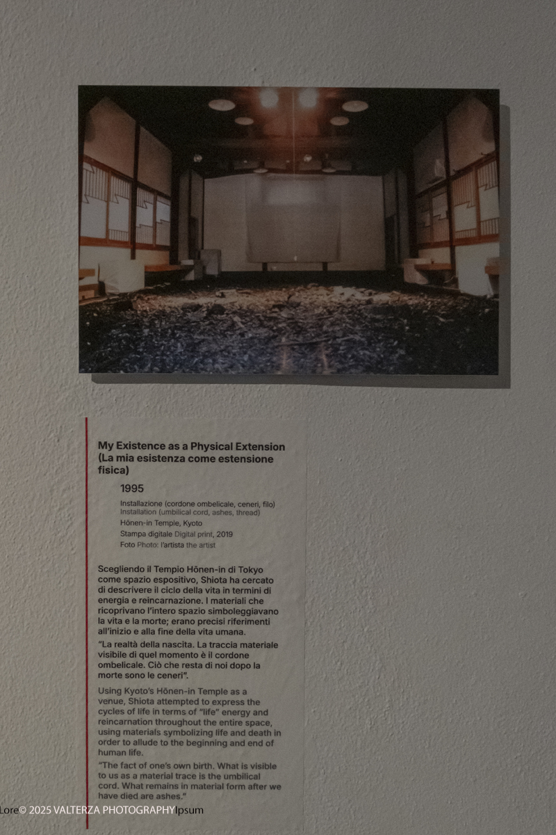 _DSF3699.jpg - 21/1072025. The Soul Trembles, la grande mostra monografica dedicata all’artista giapponese Chiharu Shiota arriva al MAO in anteprima nazionale - e per la prima volta in assoluto in un museo di arte asiatica. Nella foto opera La mia esistenza come estensione fisica