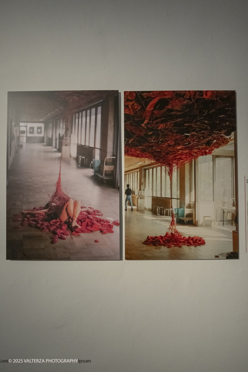 _DSF3701.jpg - 21/1072025. The Soul Trembles, la grande mostra monografica dedicata all’artista giapponese Chiharu Shiota arriva al MAO in anteprima nazionale - e per la prima volta in assoluto in un museo di arte asiatica. Nella foto opera da DNA a DNA