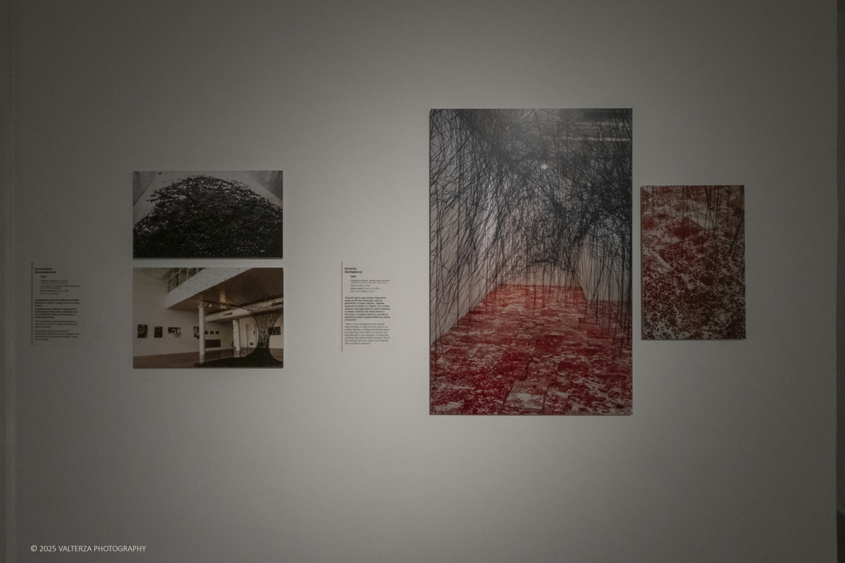 _DSF3725.jpg - 21/1072025. The Soul Trembles, la grande mostra monografica dedicata all’artista giapponese Chiharu Shiota arriva al MAO in anteprima nazionale - e per la prima volta in assoluto in un museo di arte asiatica. Nella foto parte della installazione